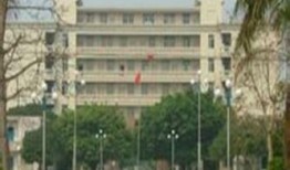 遂溪杨柑最新爆料,揭秘神秘事件背后的真相