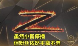 帝师最新爆料动态,揭秘娱乐圈惊人内幕