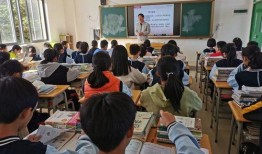 遂溪杨柑最新爆料,揭秘神秘事件背后的真相