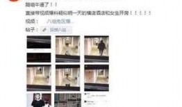 黑料爆料网最新事件,最新事件引发热议