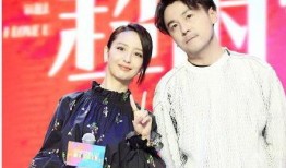 雷佳音佟丽娅最新爆料,揭秘幕后故事与情感纠葛