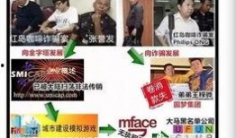 金钱爆料最新视频大全集,最新视频全集深度解析