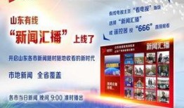 山东爆料最新新闻消息,揭秘重大事件背后真相