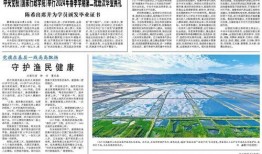 海南经济报彩图最新爆料,揭秘海南最新经济动态与热点
