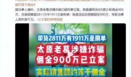 爆料网红打假视频大全最新,最新视频大全深度解析