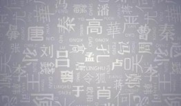 广西姓氏爆料事件最新,揭秘背后惊人真相与家族纠葛