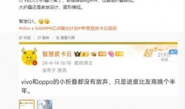 蓝厂最新爆料电话,神秘电话揭示全新旗舰手机细节