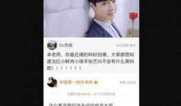 卓伟爆料何炅最新消息,卓伟独家爆料揭秘